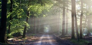 Gdzie na szlak z dzieckiem?