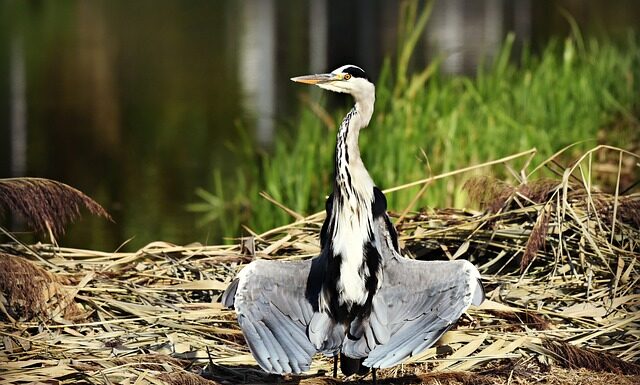 Czego nie wolno suszyć w suszarce?