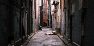 Do jakich śmieci koci żwirek?