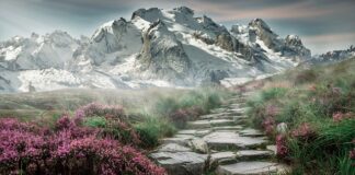 Jakie Góry polecacie?