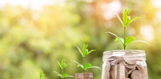 Jakiej firmy brakuje na rynku?