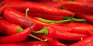 Czy kapsaicyna leczy? Czy kapsaicyna leczy?