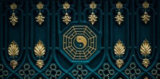 Czy kot może mieć stały dostęp do suchej karmy?