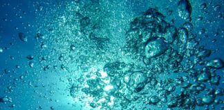 Jak działa podwodny spławik?