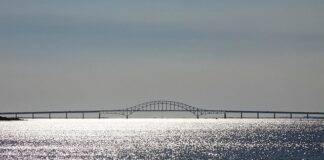 Jak oznaczamy cięciwę?