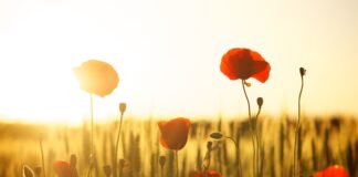 Jak ubrać się na pole dance?