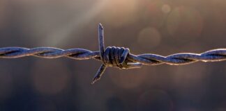 Z jakich trzech konkurencji broni składa się szermierka?