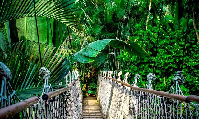 Co zabrać na kurs tańca?